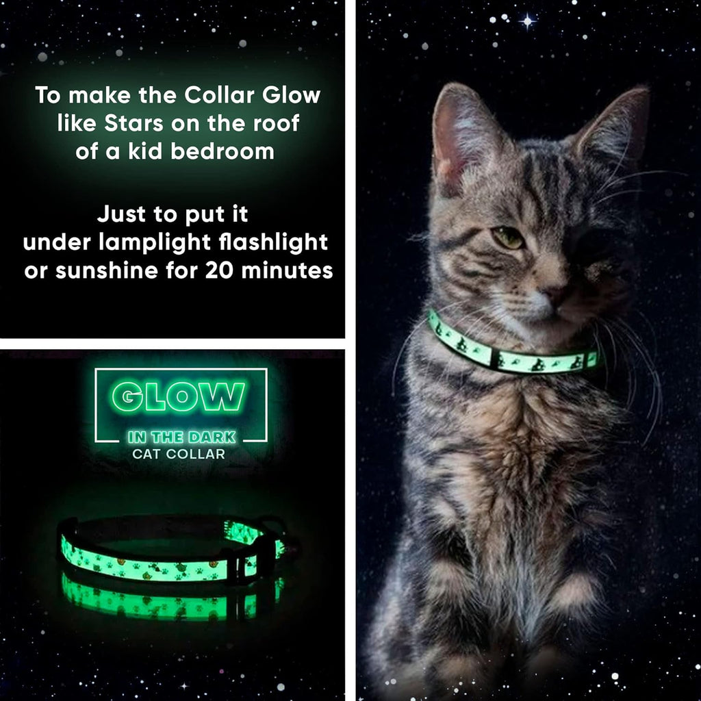 Glow in the Dark Cat Collar with Breakaway Safety Buckle & Bell Adjustable Kitten Collar, Teal