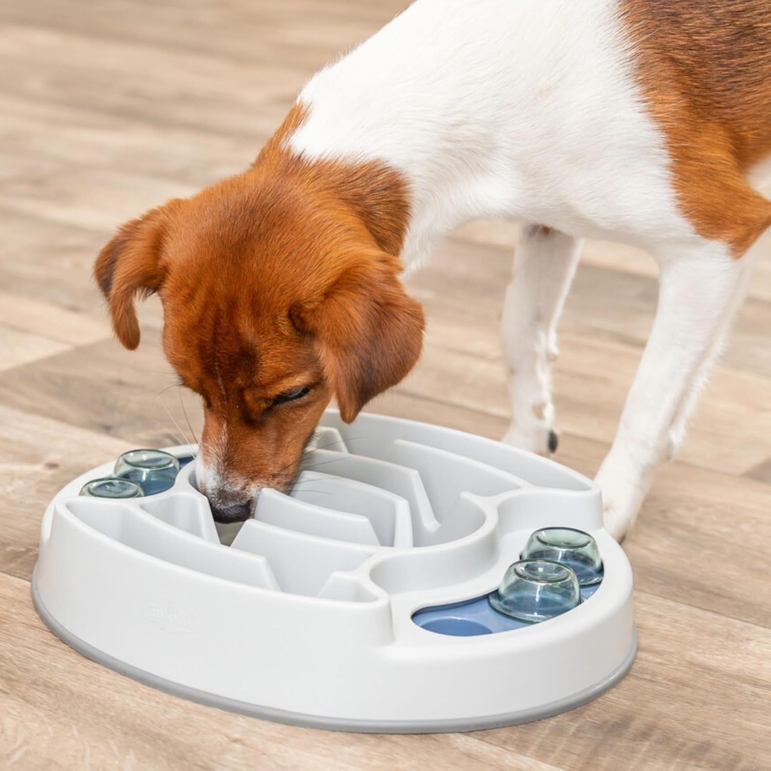 Slide & Feed Dog Activity Interactive Toy, Level 1 Food Puzzle Game, Brain Teasing Treat Dispenser, IQ and Mental Development Toy for Smart Dogs, Enrichment Toy for Boredom Busting