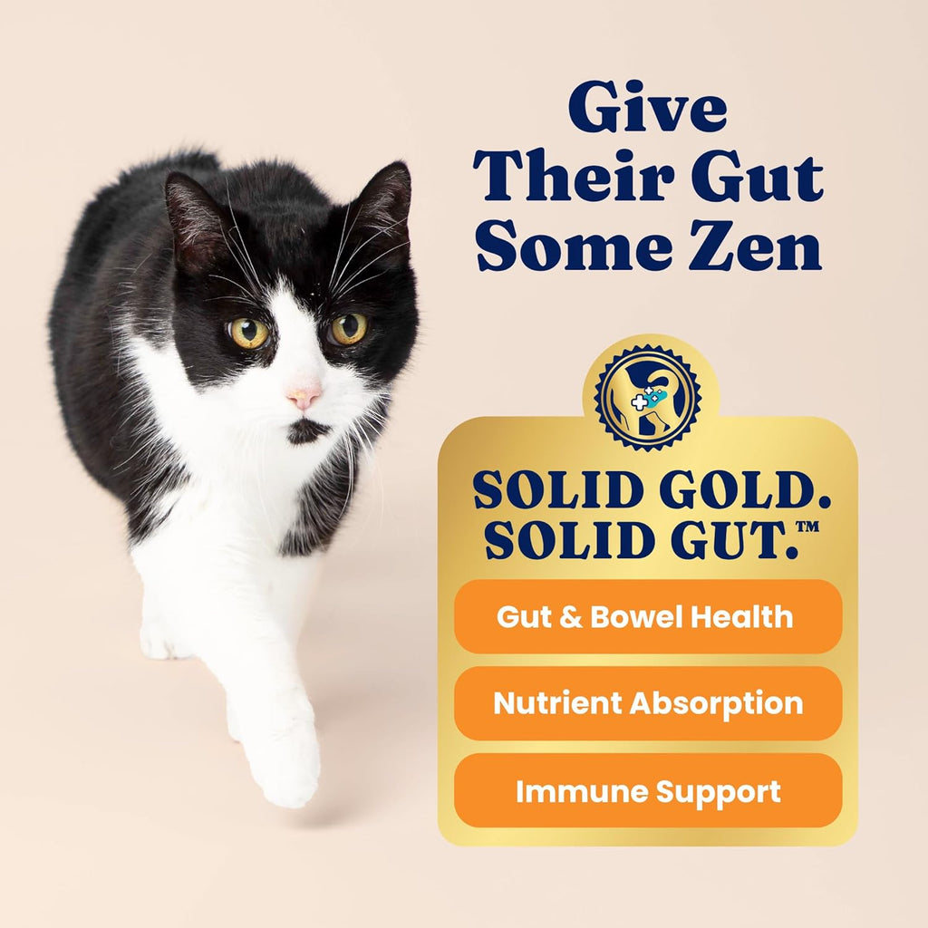 Solid Gold Indoor Dry Cat Food - Grain Free & Gluten Free - Chicken Cat Food Dry Kibble for Indoor Cats for Gut Health - Sensitive Stomach & Hairball Support for Adult Cats - 12LB