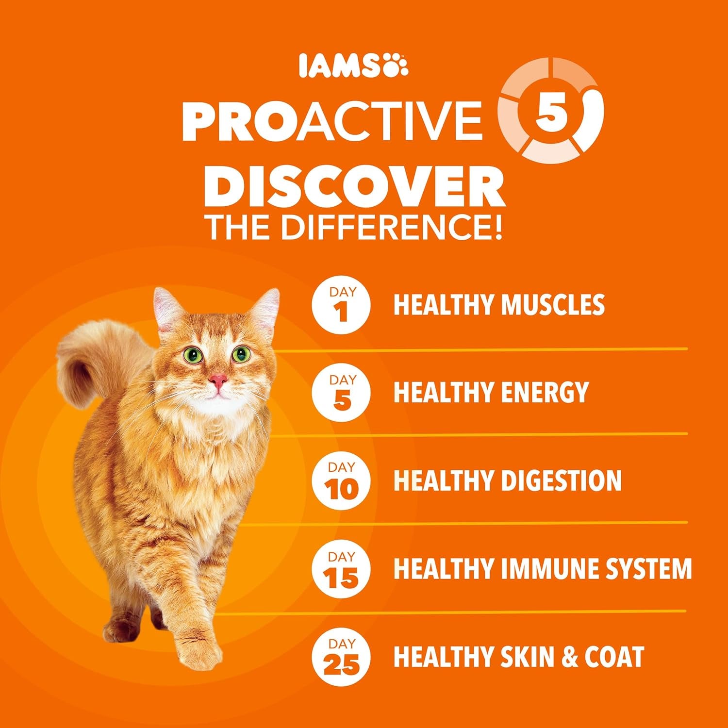 Proactive Health Dry Cat Food, Healthy Cat Food Dry Recipe for Adults, with Chicken 22 Lb. Bag